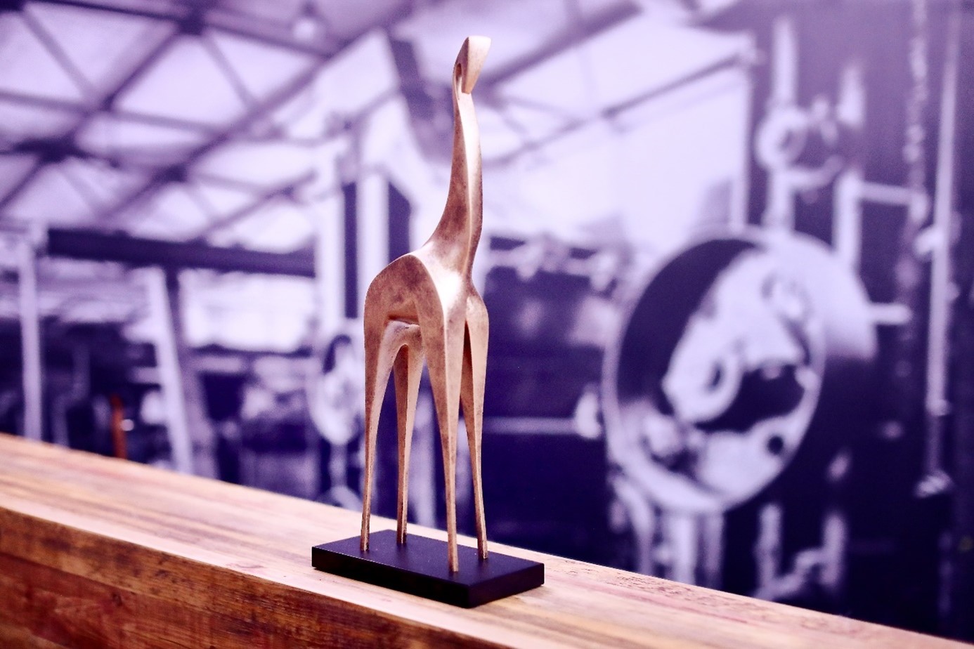 Voorlopig nog Early Bird voor inschrijven Gouden Giraffe Event Awards 2024
